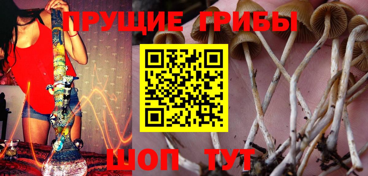 Псилоцибиновые грибы мухоморы  Псилоцибиновые грибы MAGIC MUSHROOMS  Вход с VPN  Черкесск 